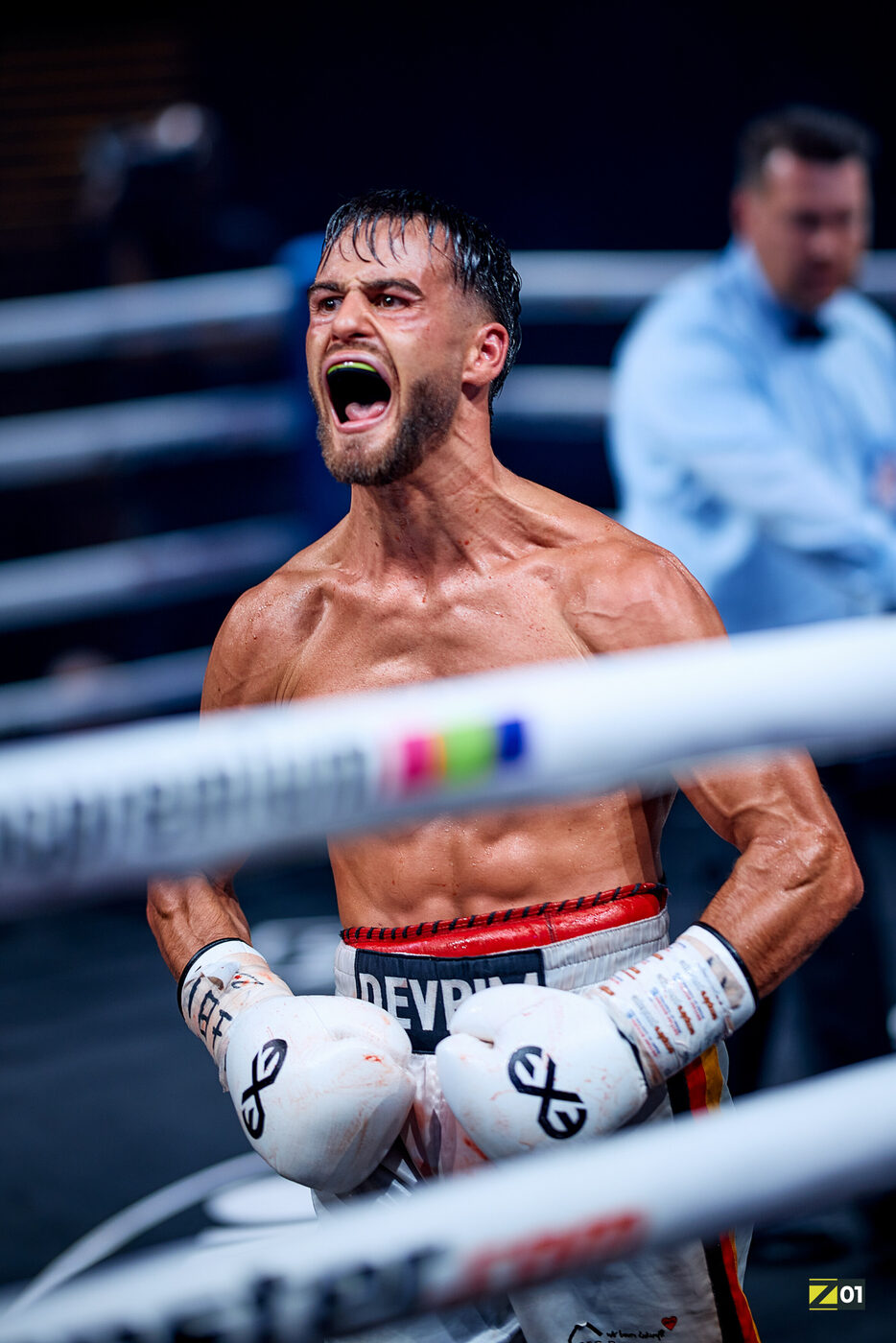 Promotional Film & Image Clips, Ringside Zone, Bild 2